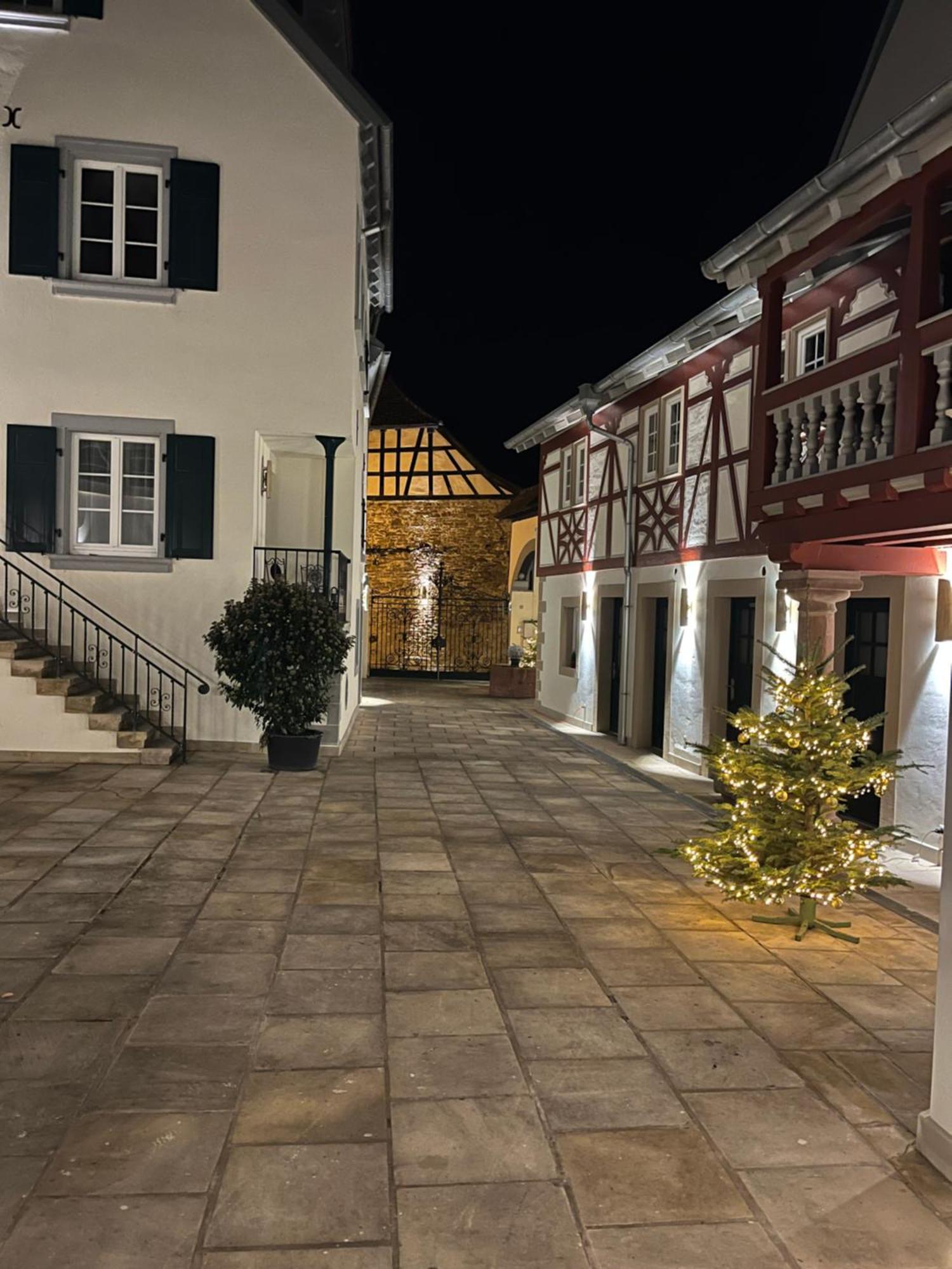 Karlbacher Domizil Ferienwohnungen Grosskarlbach Exterior photo